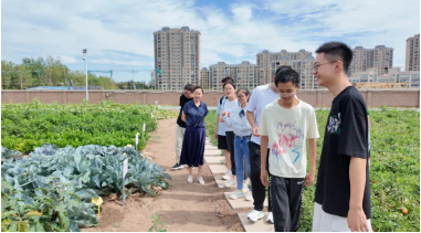 {0e1370f1-9cd6-4976-8565-ae1ba7c9d512}