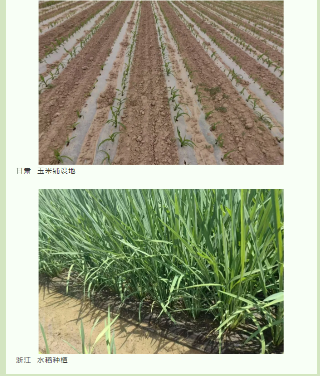 {4ddbe645-699c-47dd-96aa-f7f04abdd9ce}